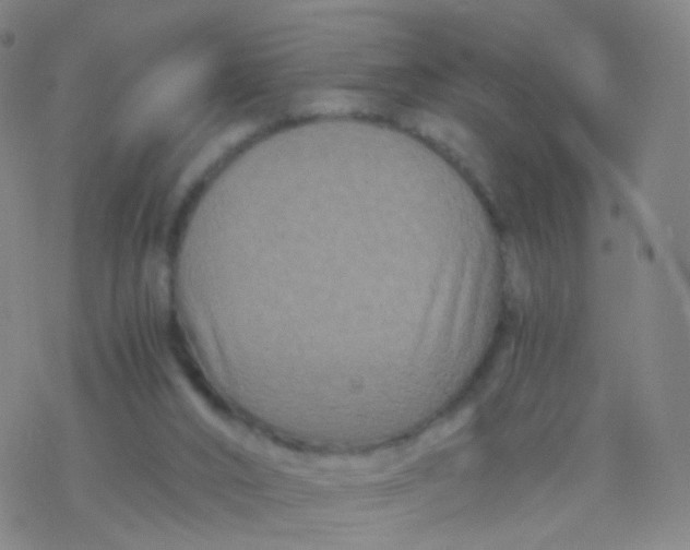 X0000076450016200610271835