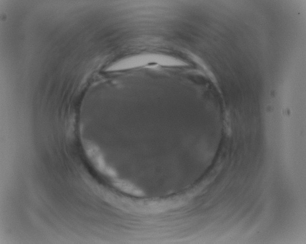 X0000076450018200610271835