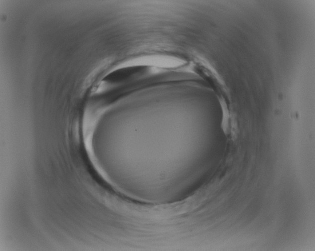 X0000076450019200610271835