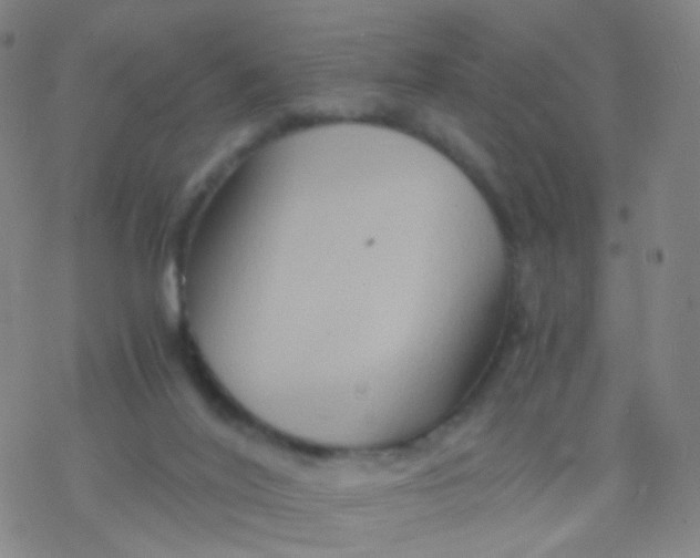 X0000076450020200610271835