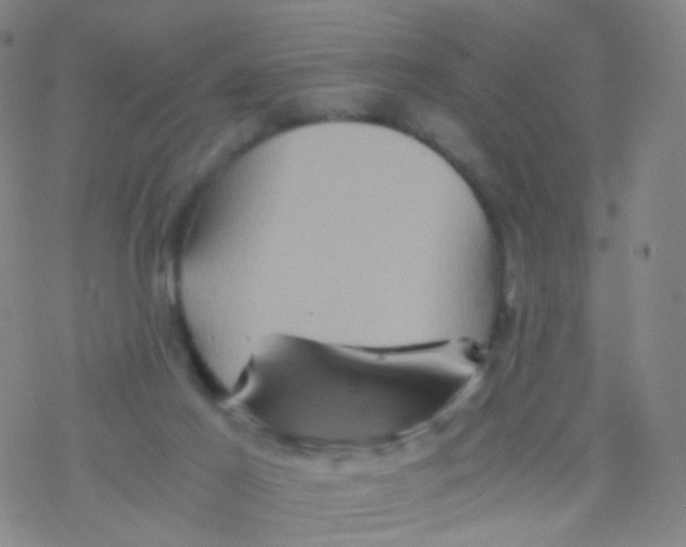 X0000076450021200610271835