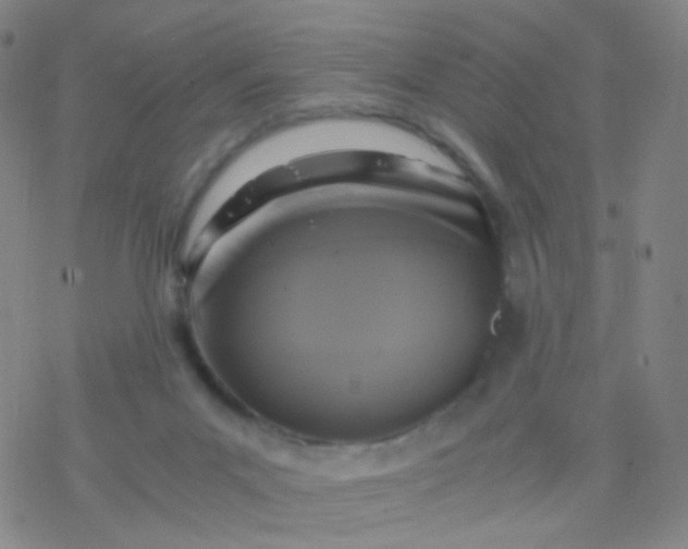 X0000076450023200610271835