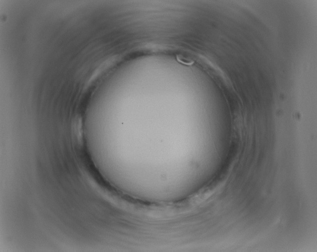 X0000076450024200610271835