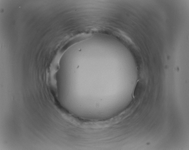 X0000076450025200610271835