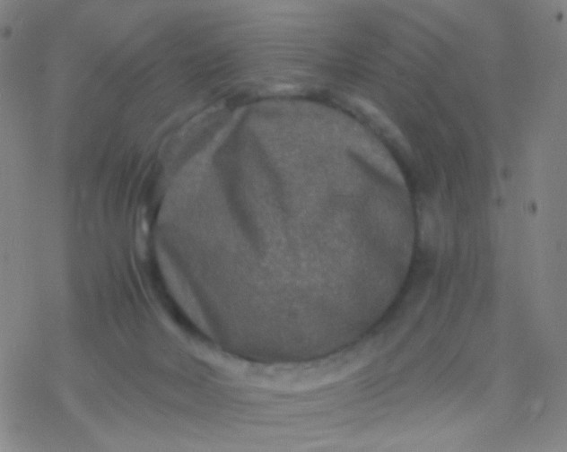 X0000076450026200610271835