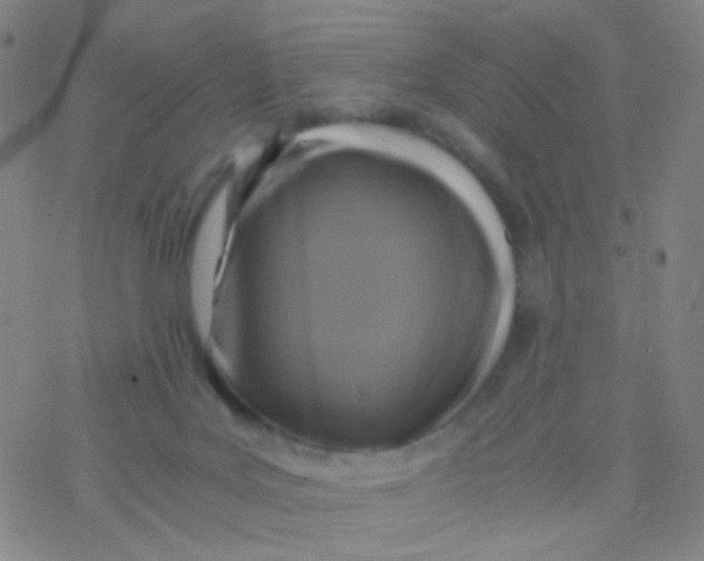 X0000076450027200610271835