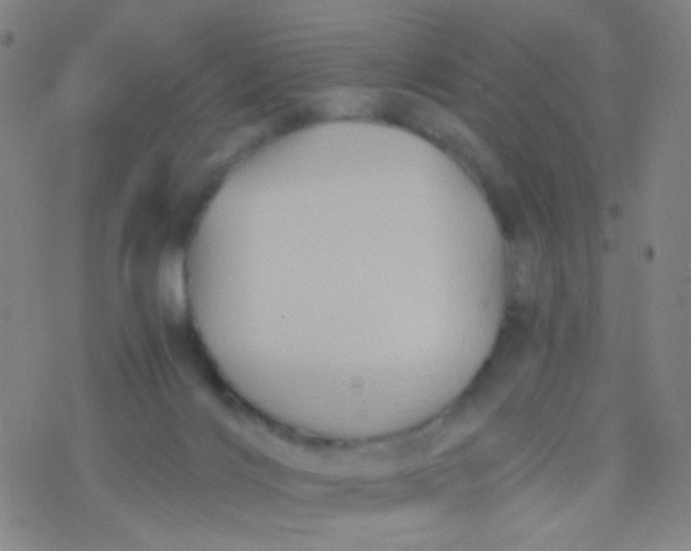 X0000076450028200610271835