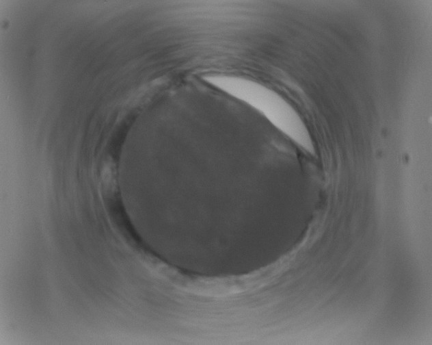 X0000076450029200610271835