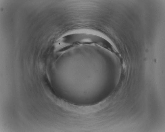 X0000076450031200610271835