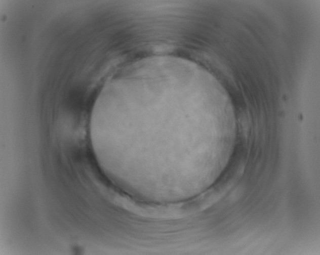 X0000076450032200610271835