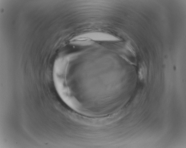 X0000076450035200610271835