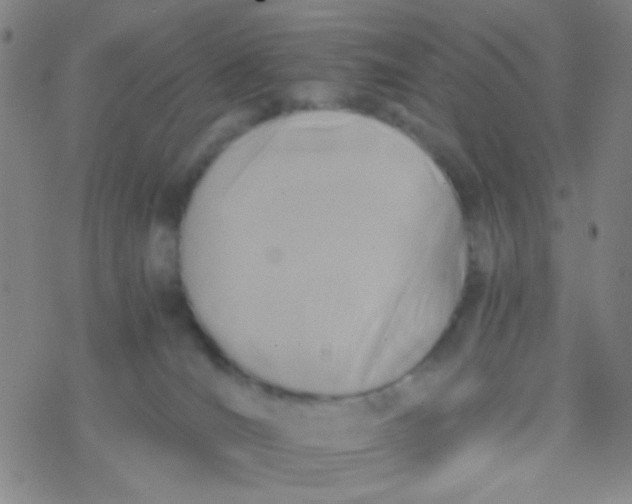 X0000076450036200610271835