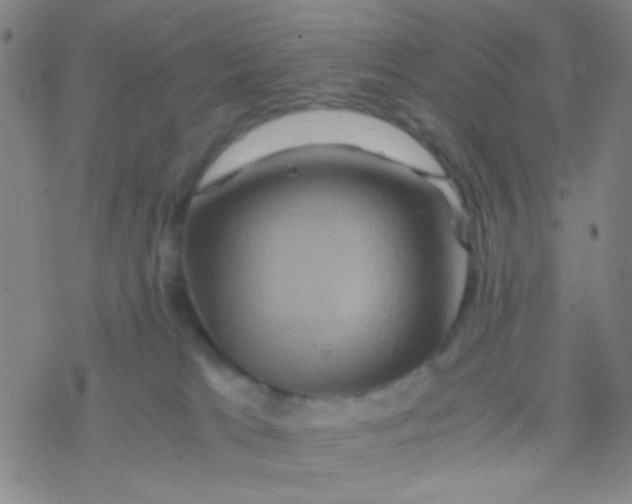 X0000076450037200610271835