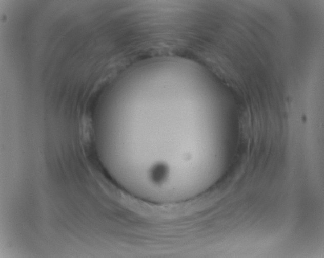 X0000076450038200610271835