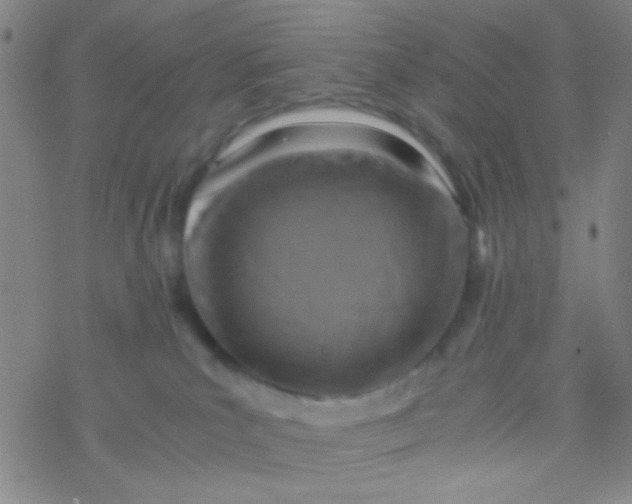 X0000076450039200610271835