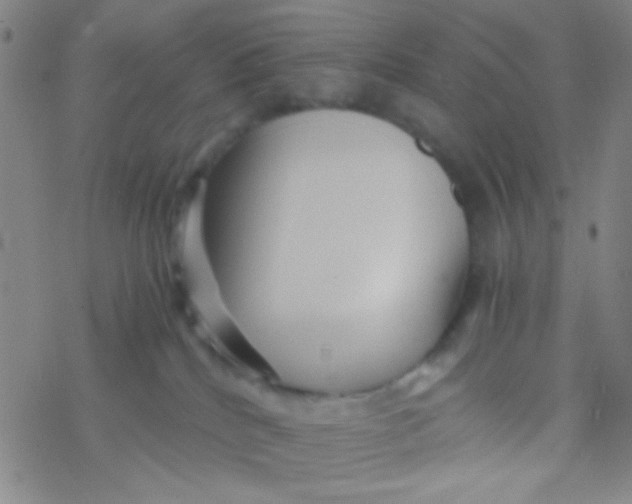 X0000076450040200610271835