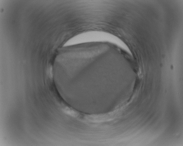 X0000076450041200610271835