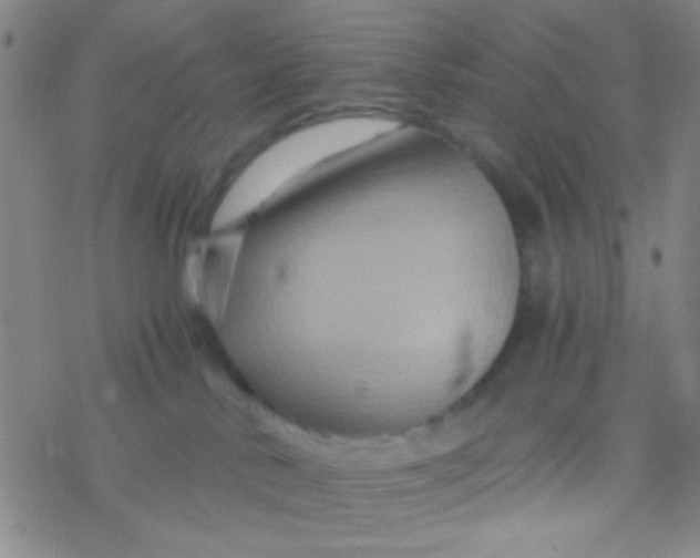 X0000076450042200610271835