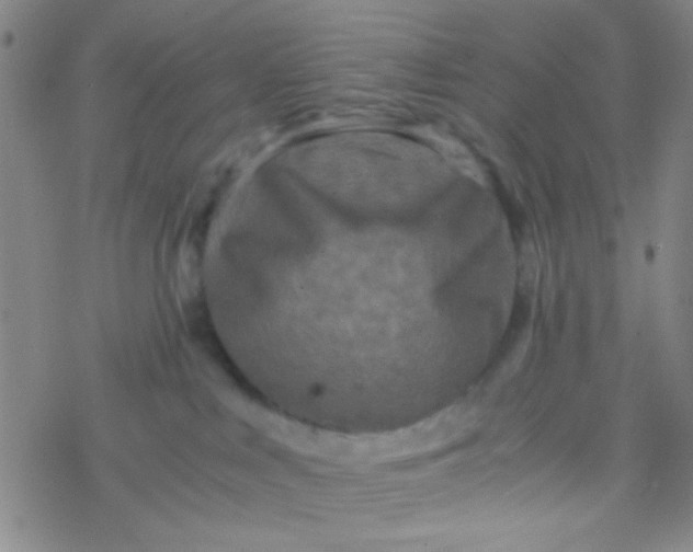 X0000076450043200610271835