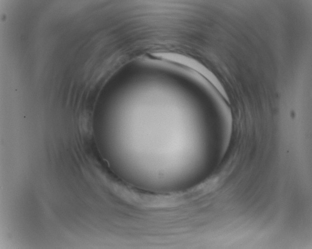 X0000076450044200610271835