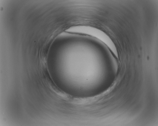 X0000076450045200610271835