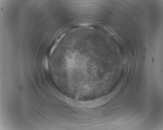 X0000076450046200610271835