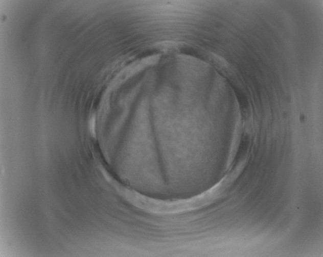 X0000076450047200610271835