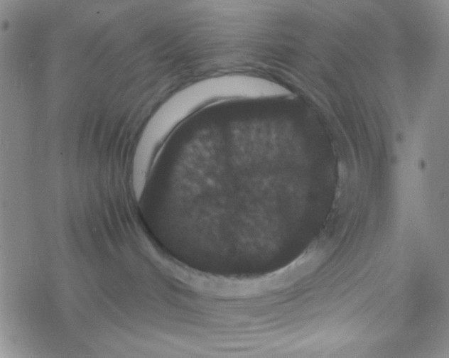 X0000076450048200610271835