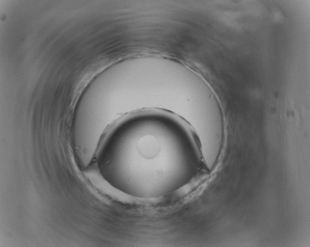 X0000076450049200610271834