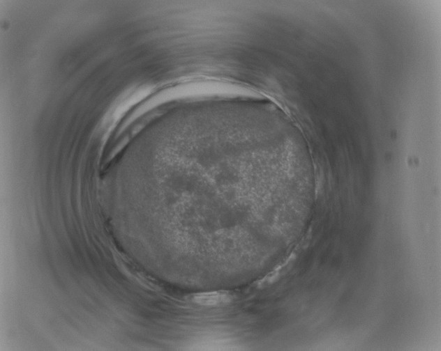 X0000076450050200610271834