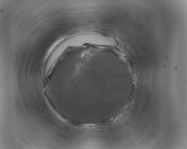 X0000076450052200610271834