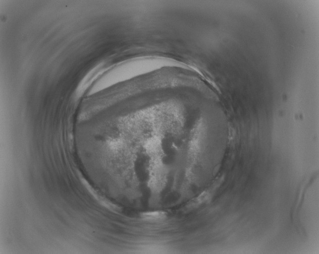 X0000076450053200610271834