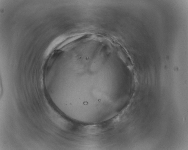 X0000076450054200610271834