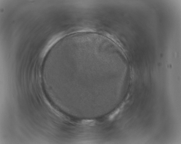 X0000076450055200610271834