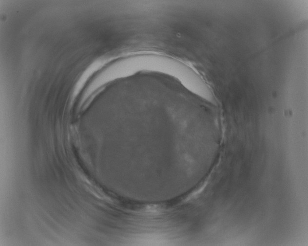 X0000076450056200610271834