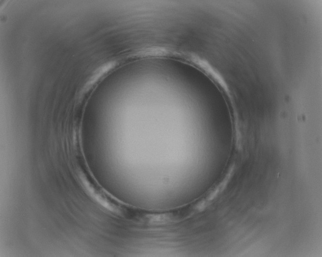 X0000076450057200610271834