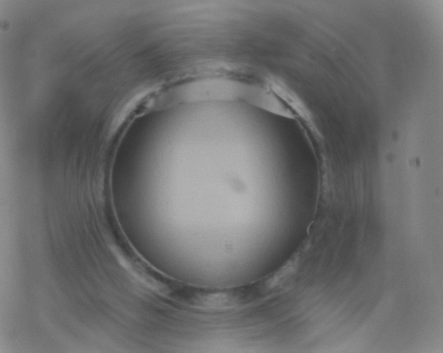 X0000076450058200610271834