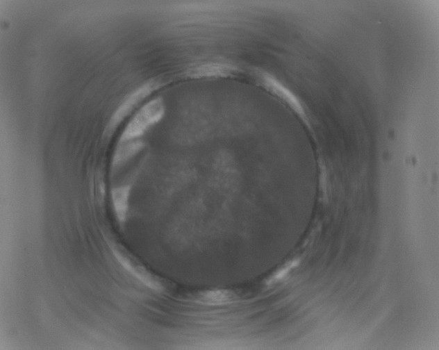 X0000076450059200610271834