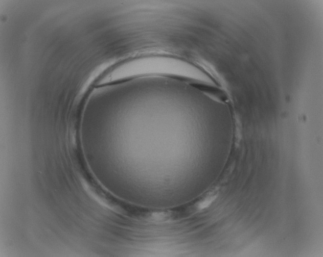 X0000076450060200610271834