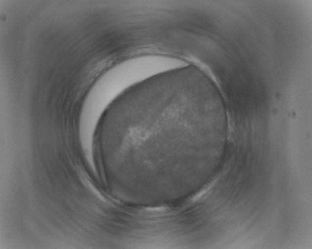 X0000076450061200610271834