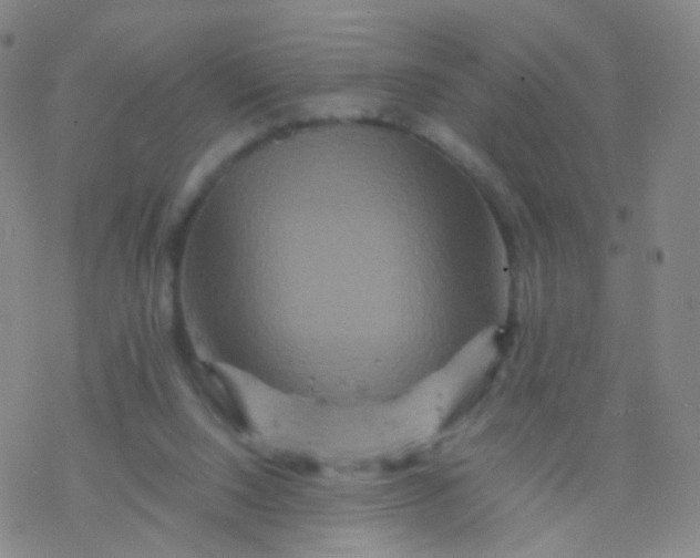 X0000076450064200610271834