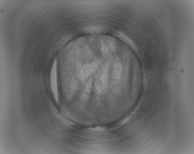 X0000076450065200610271834