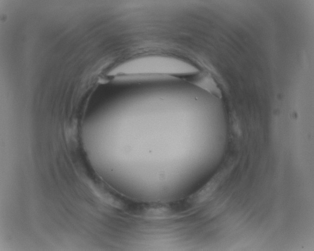 X0000076450066200610271834