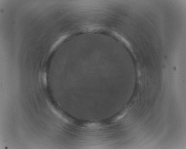 X0000076450067200610271834