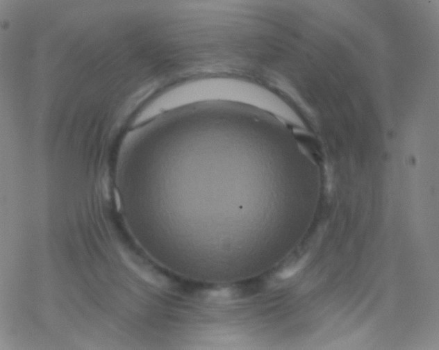 X0000076450068200610271834