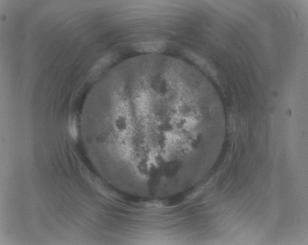 X0000076450069200610271834