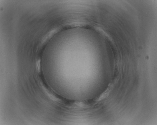 X0000076450070200610271834