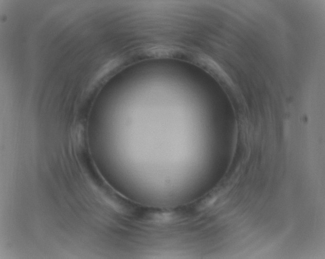 X0000076450071200610271834