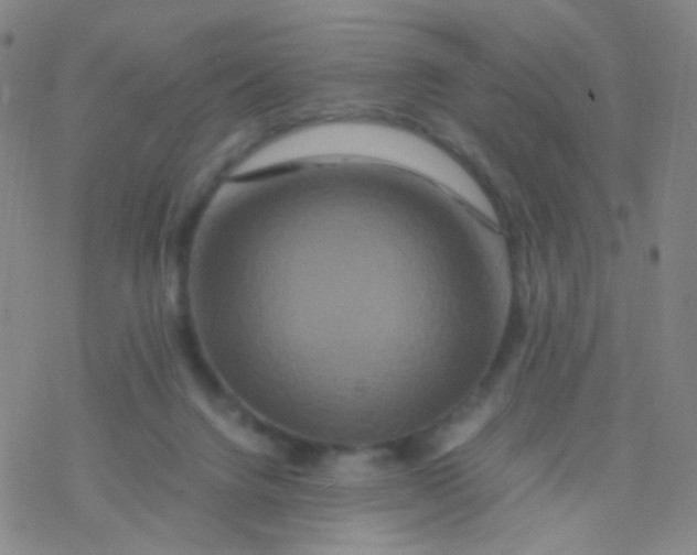 X0000076450072200610271834