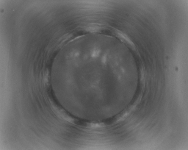 X0000076450073200610271834